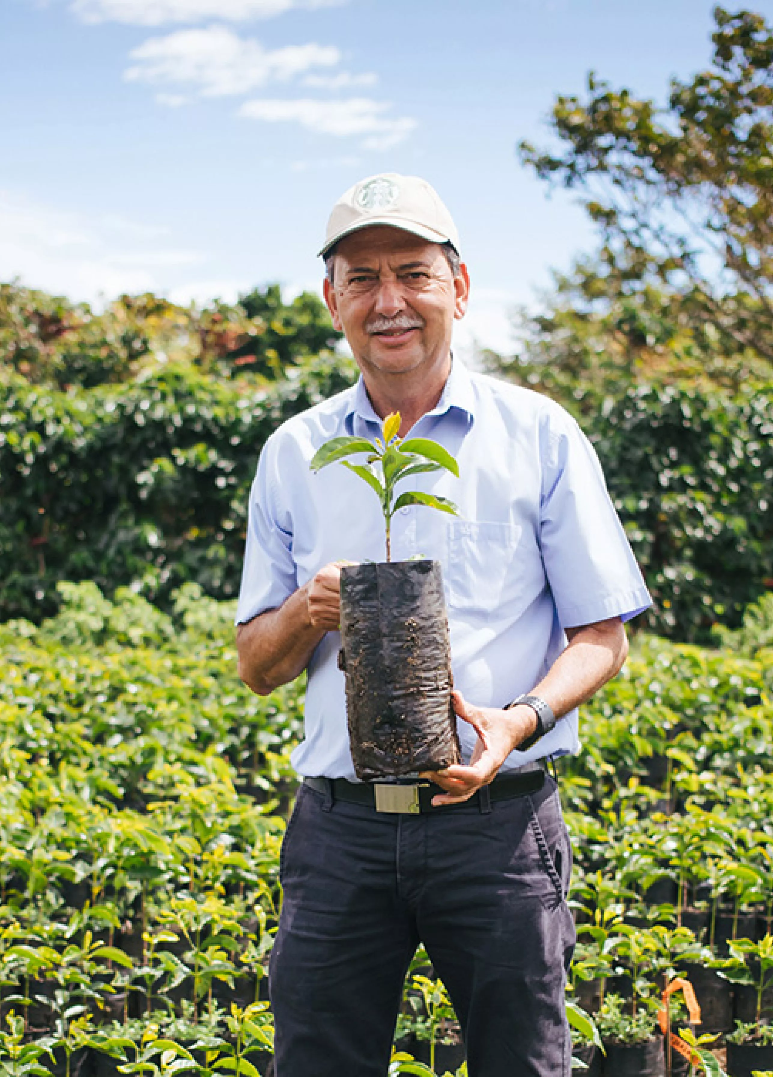 Sustainability