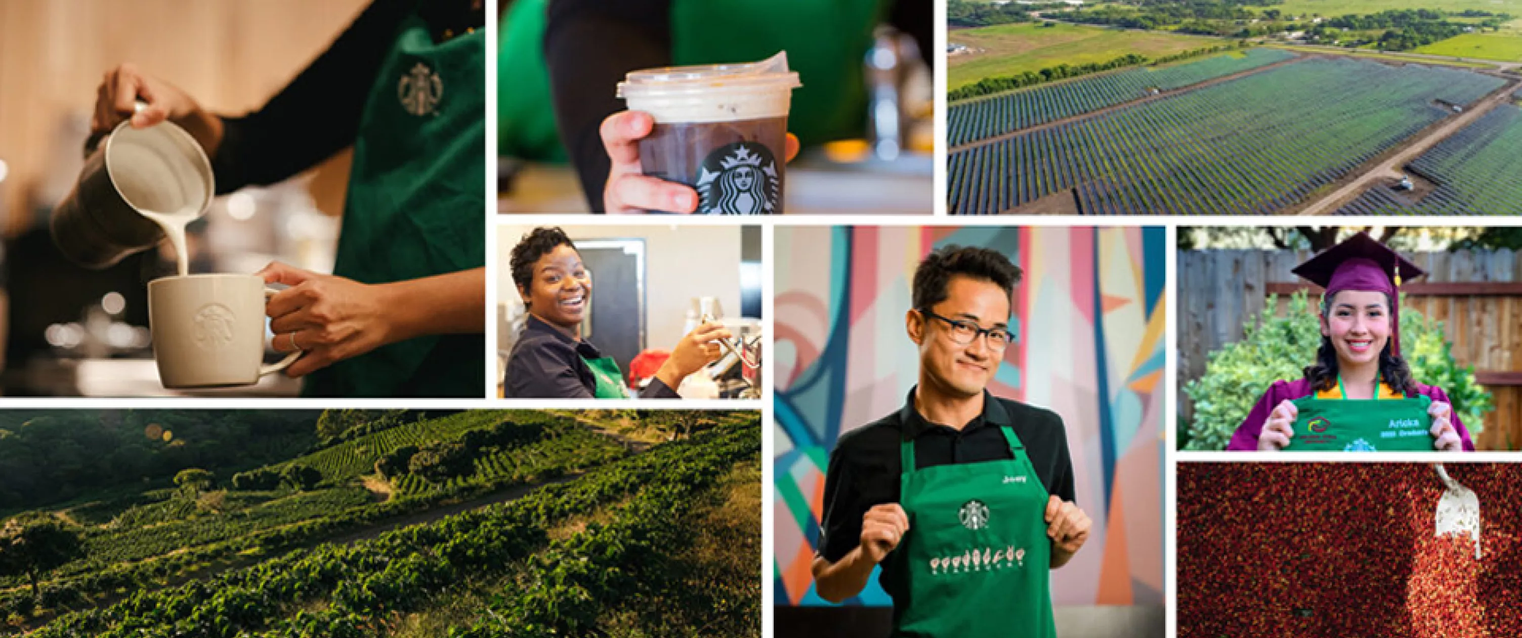 Responsibility Reporting