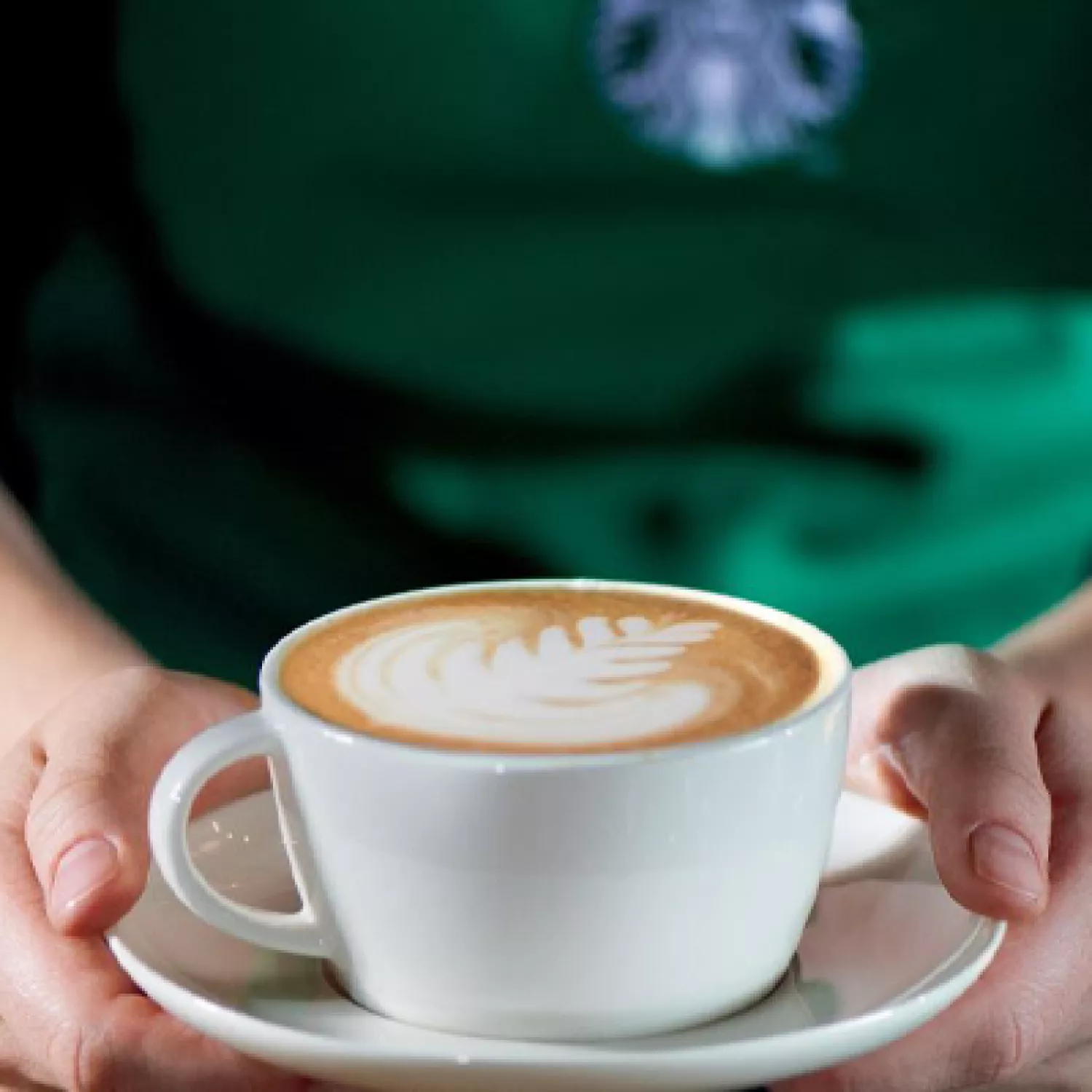 Coffee Academy 100