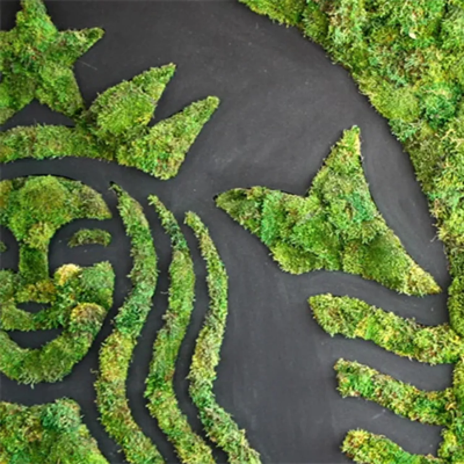 Greener Apron Course